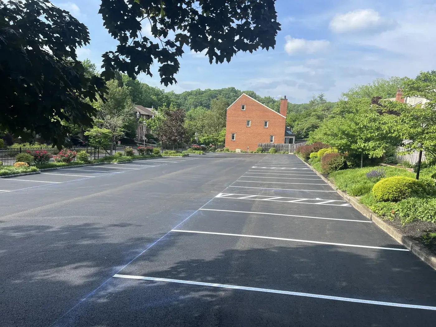Freshly paved and striped commercial lot